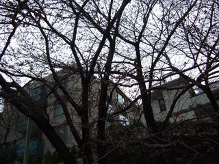 DSCF0753