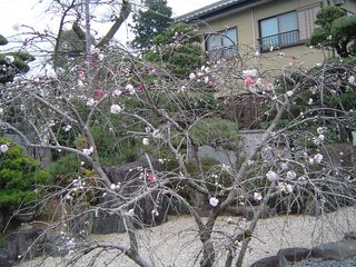 島田快林寺 001