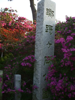 つつじヶ岡公園０４2