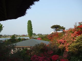 城沼と風景 037