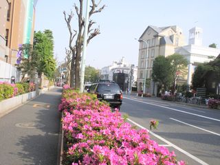 1位旧山手通り　ぼんやり