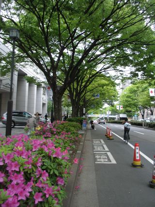 3位表参道　ケヤキ通り