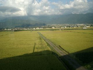 たんぼ