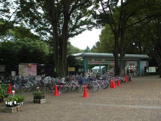 神代植物公園2010-10-17 068