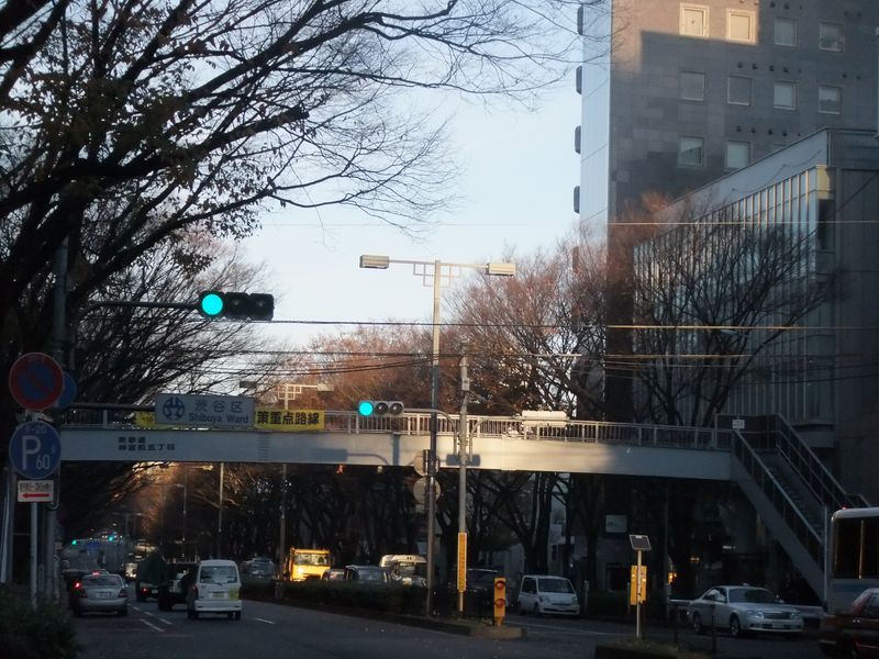 昼　表参道　横断歩道