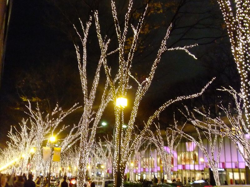 夜　表参道　紫ネオン