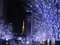 夜六本木　青光と東京タワー