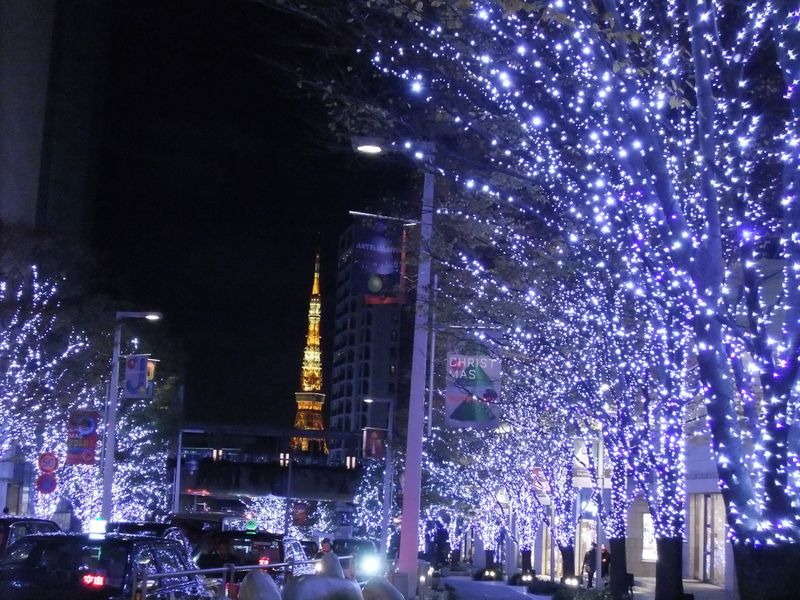 夜六本木　青光と東京タワー