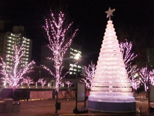 画像 012 画像 012
