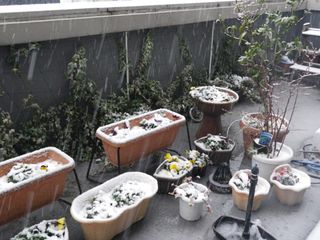 雪1 雪1