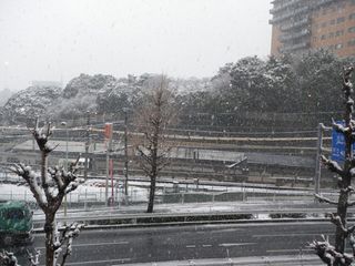 雪4 雪4