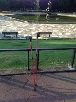 世田谷公園　早朝　週２回