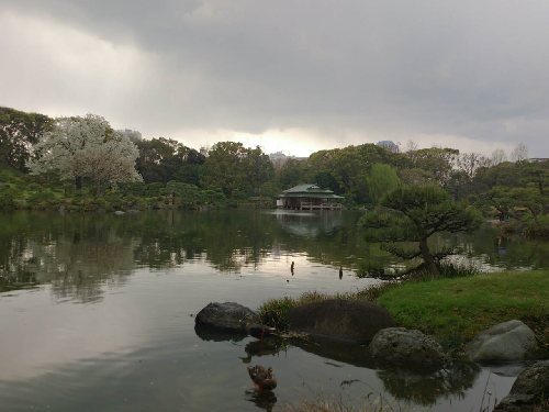 清澄庭園②