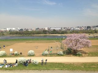 Tamagawa