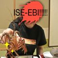 Ise-ebi