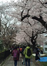 ①市谷駅から外濠に沿って飯田橋駅方向への遊歩道