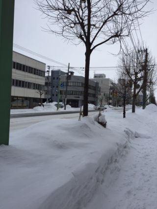 旭川道路