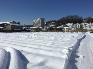 20180123 一面雪景色1