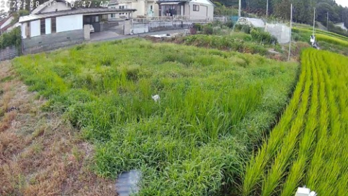 画像11
